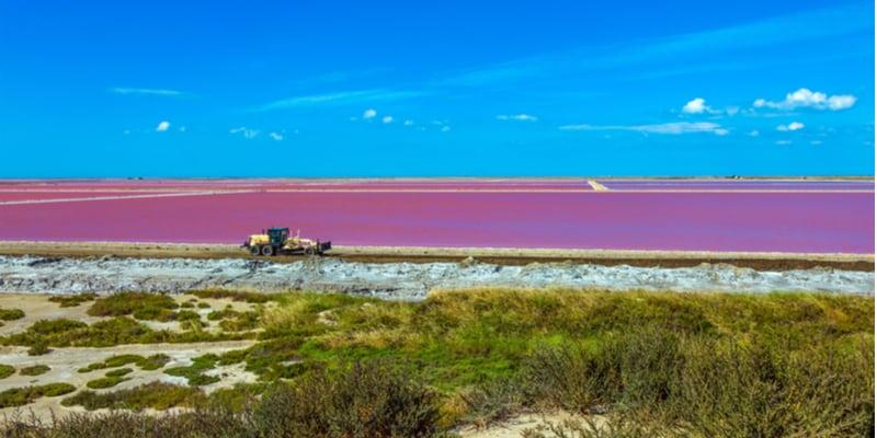 camargue_2