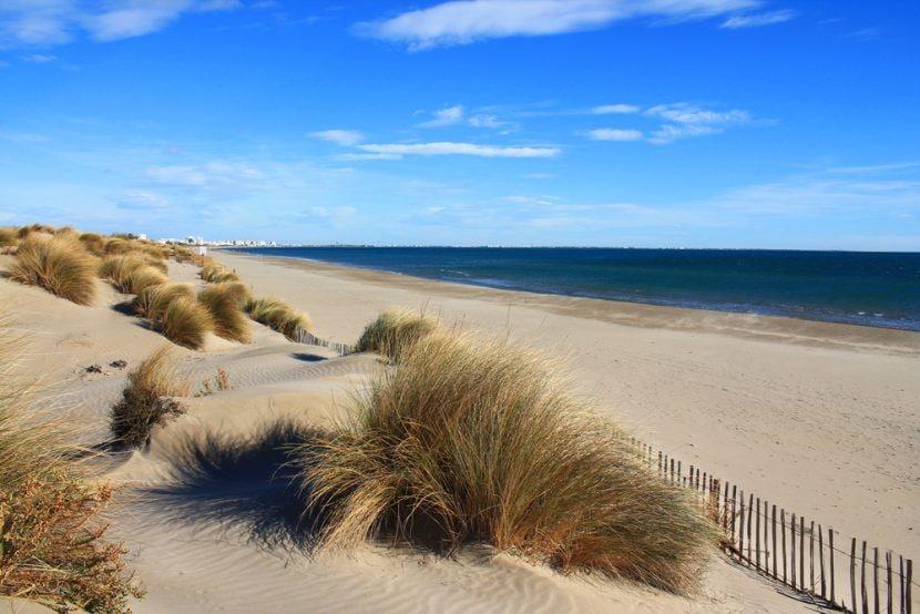 Plages de Camargue