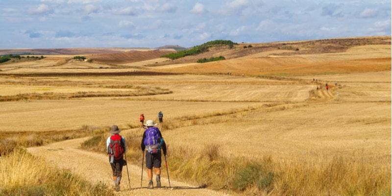 El Camino de Santiago