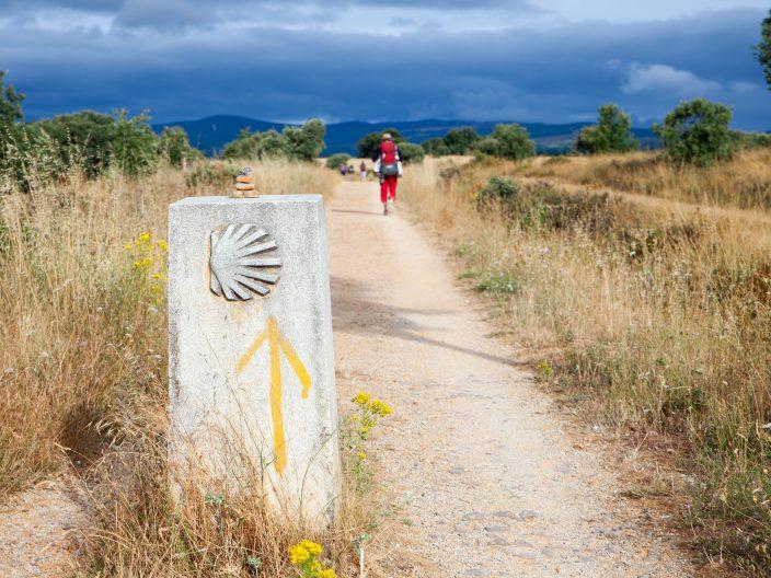 Caminos Europa