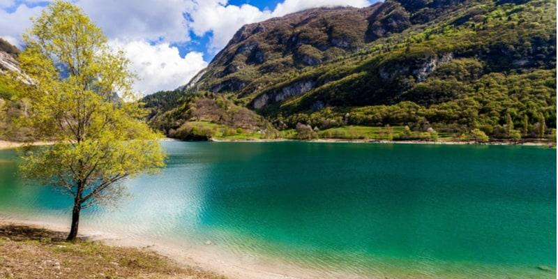 lagotennoriva