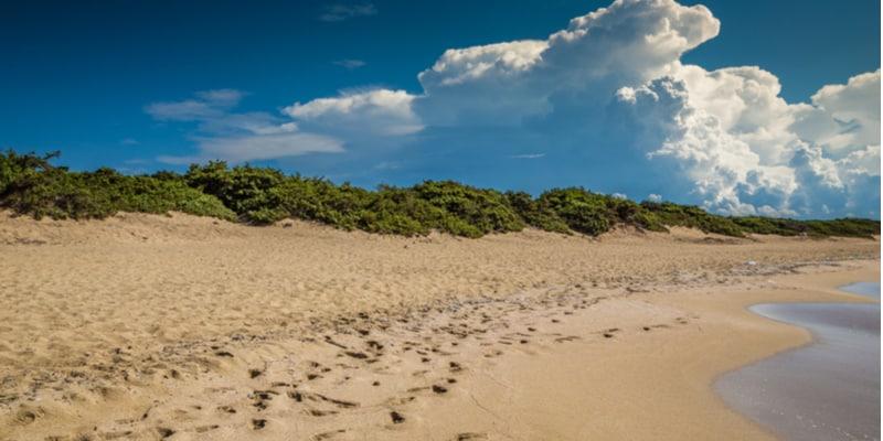 punta-proscutto-salento