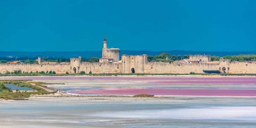 Que voir en Camargue