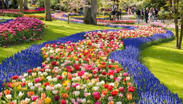 Parc aux tulipes