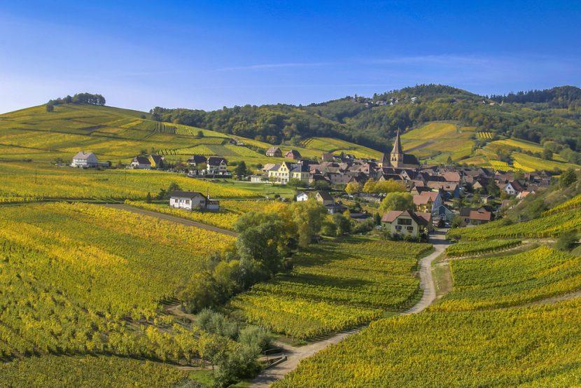 Strada Vino Alsazia