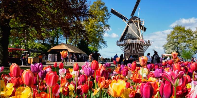 keukenhof_1