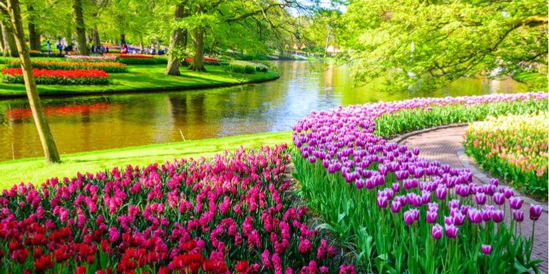 parc-keukenhof