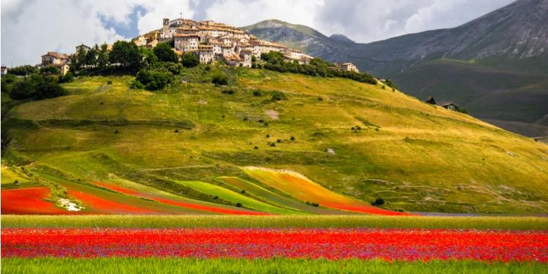 fioritura-castelluccio