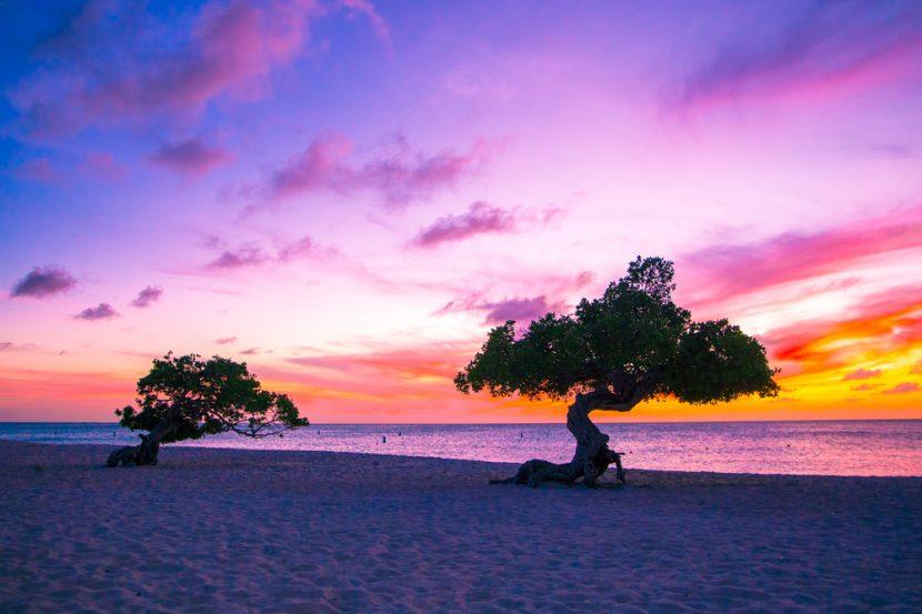 Isola di Aruba