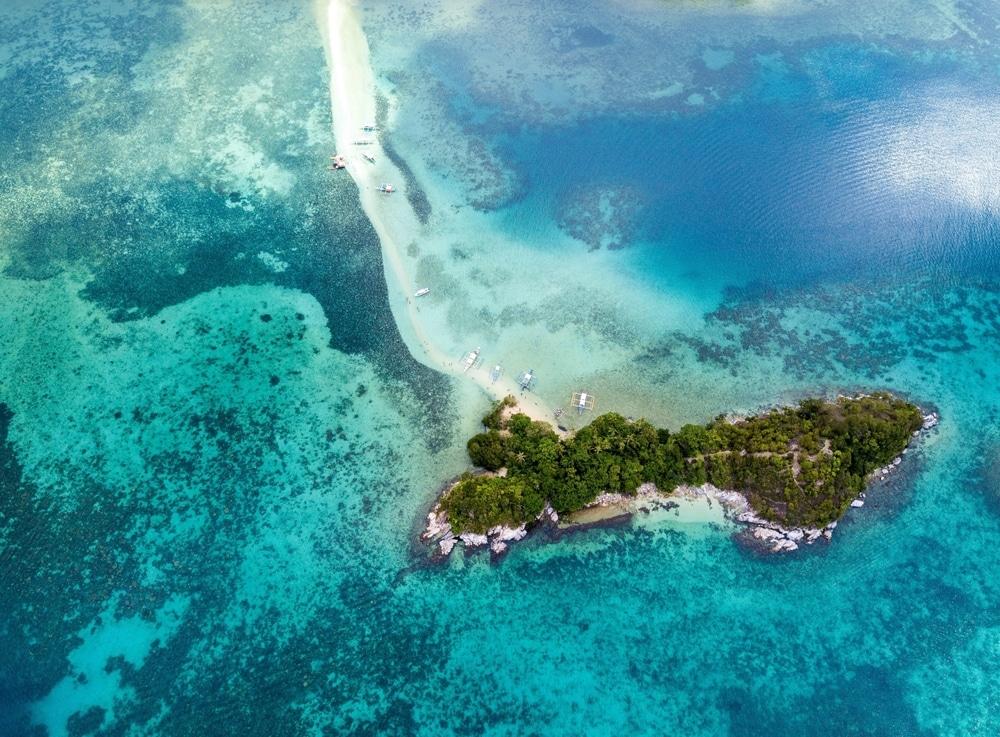 isola dei serpenti brasile