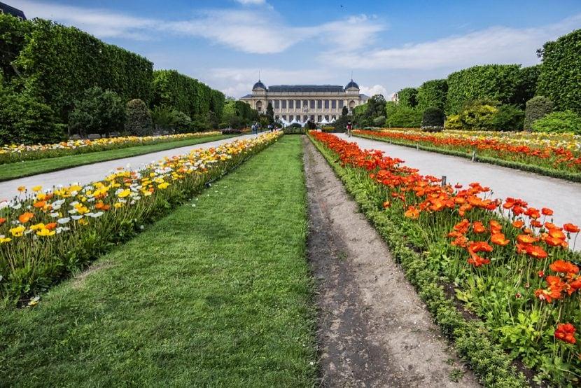 Jardin des Plantes