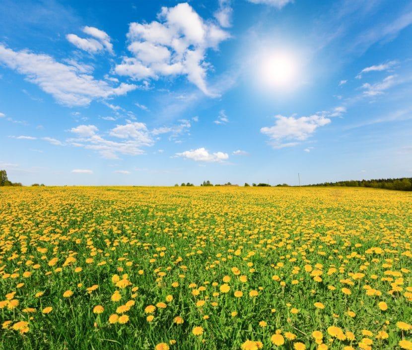 Équinoxe de Printemps