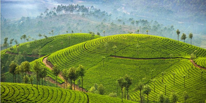 cosa-vedere-sri-lanka