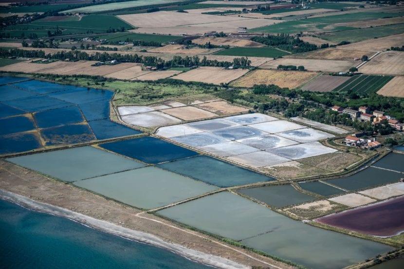 Salines de Tarquinia