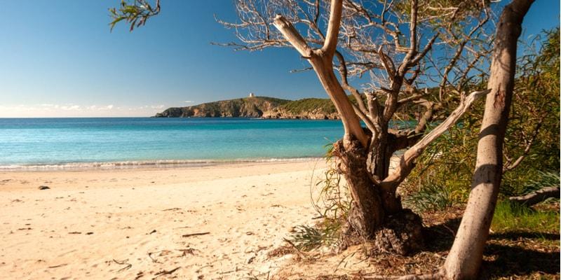 tuerredda-spiaggia
