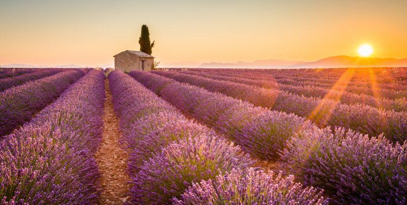 Valensole