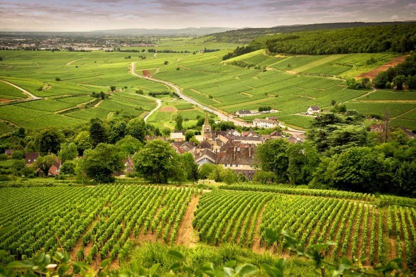 Bourgogne