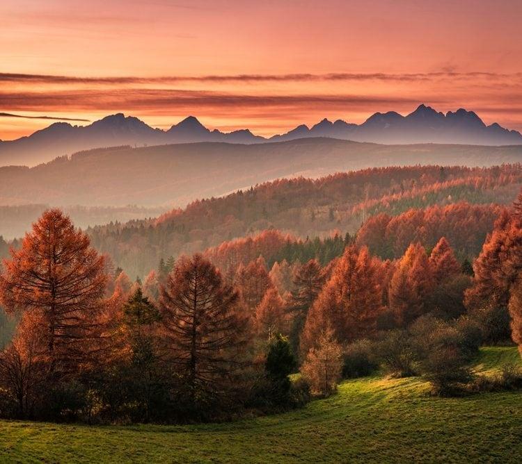 Tatra
