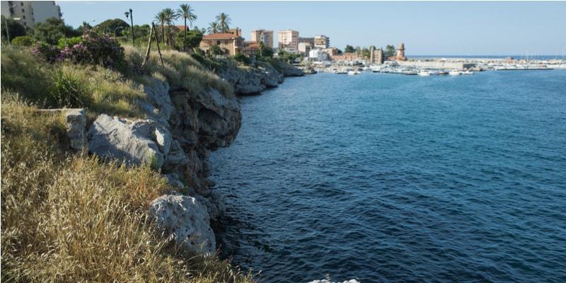 arenella
