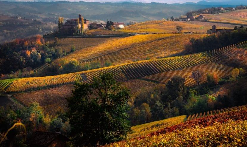 Borghi Langhe