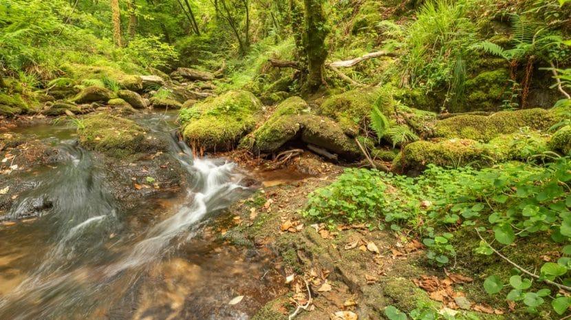 Parc Naturel Fragas do Eume