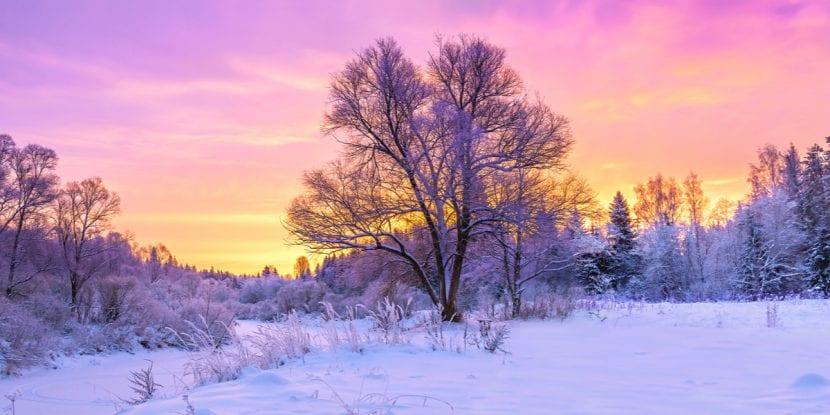 Solstice d'Hiver 2022