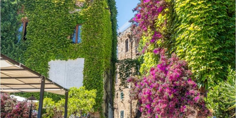 bussana-vecchia_5