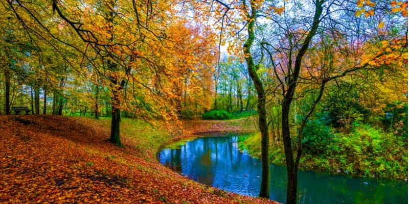 automne_5