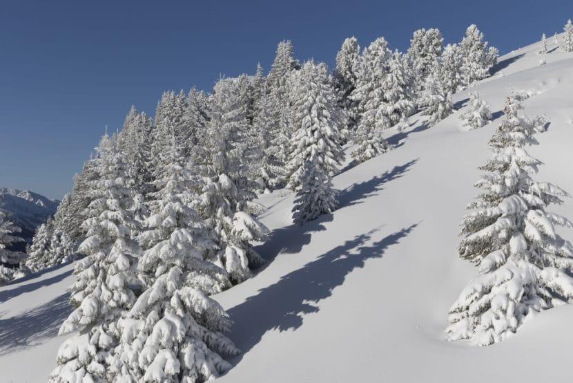 Val di Non