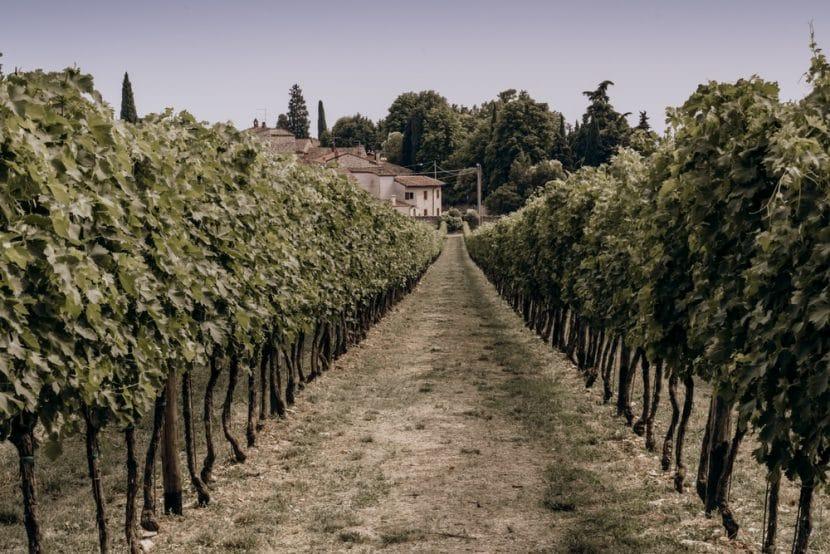 Sant'Ambrogio di Valpolicella