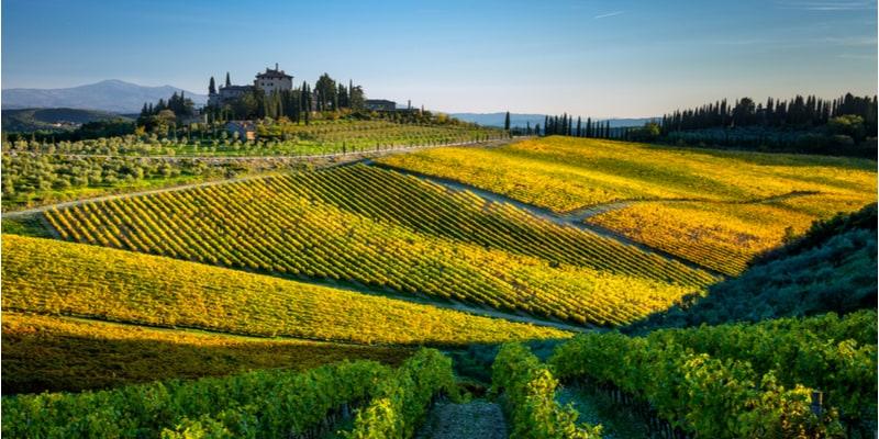 Radda in Chianti