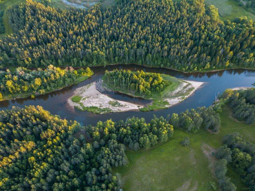 Parc de Gauja