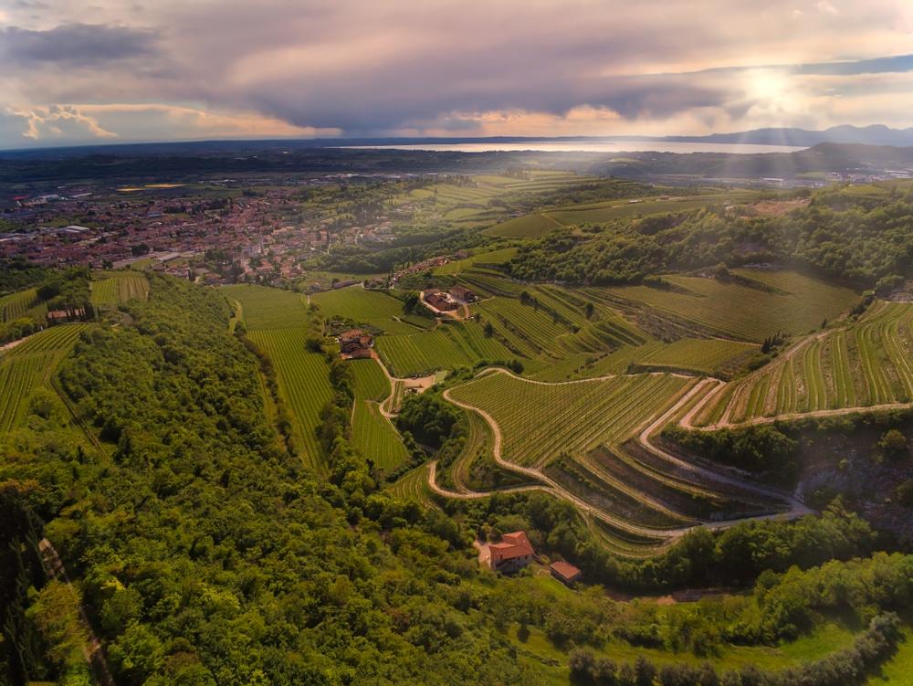 Valpolicella