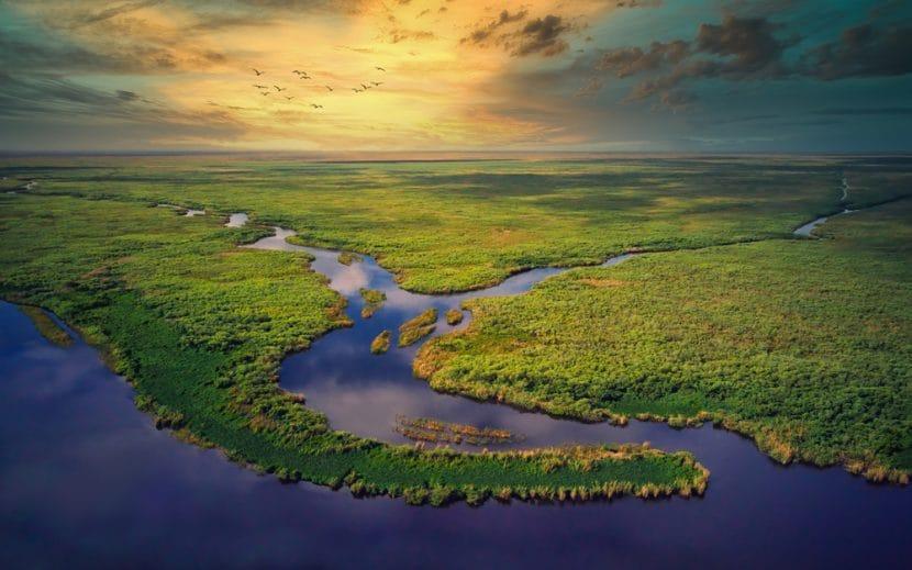 Parc National des Everglades