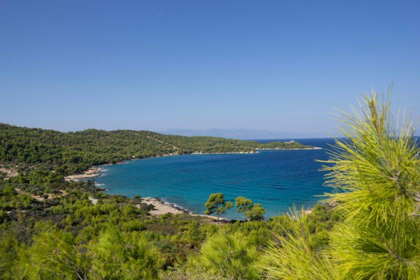 spetses