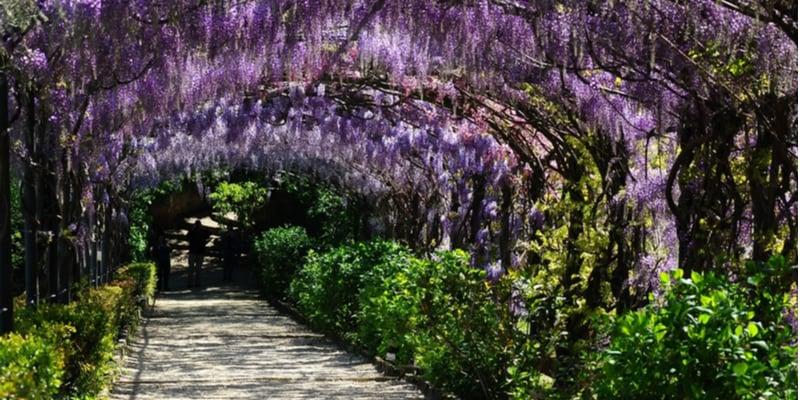 giardini-bardini-firenze