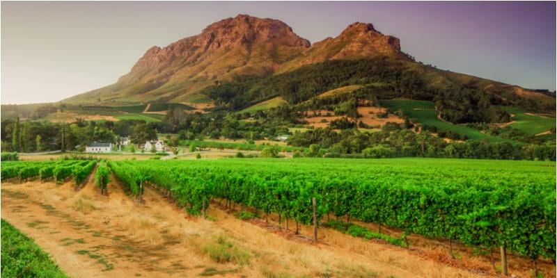 winelands