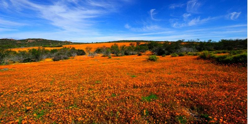 namaqua-national-park