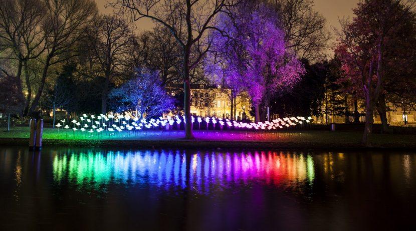 Installation Trames de Lumière