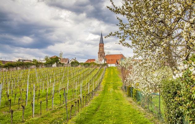 route-des-vins-allemagne