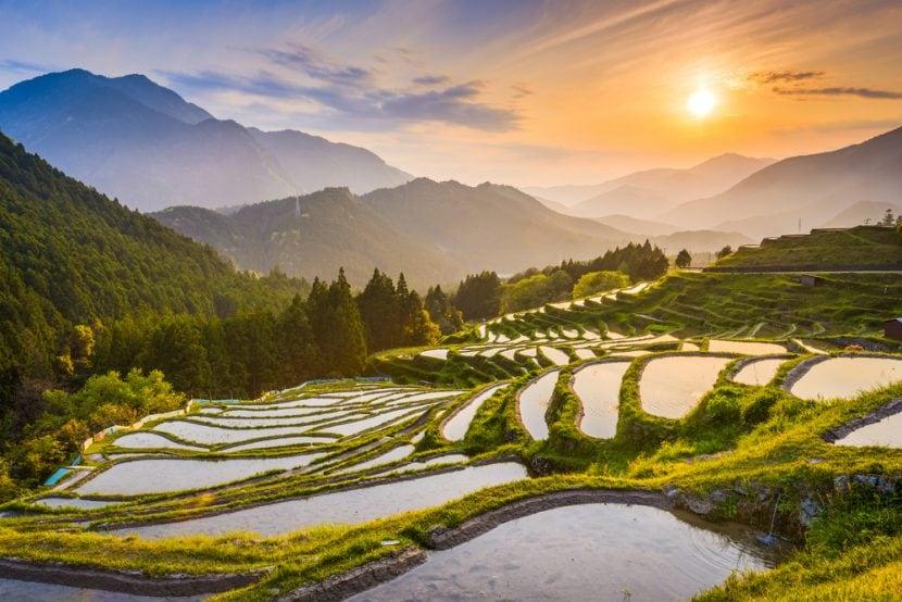 Japon