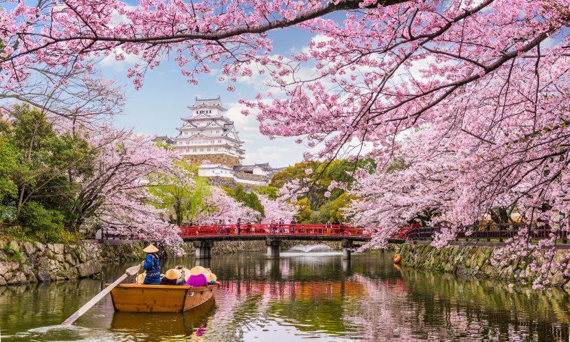 Japon quoi voir