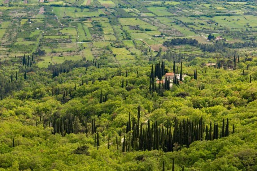 Konavle