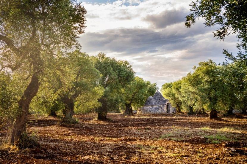 Itinéraire de la Puglia