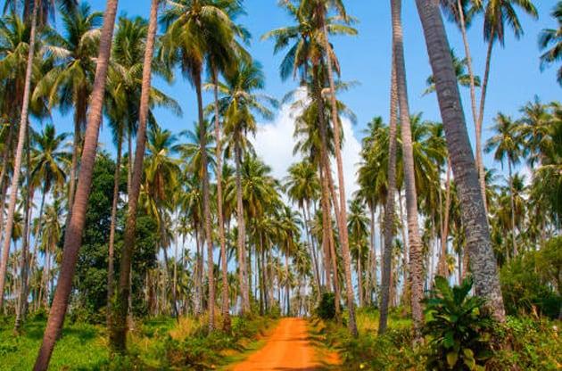 îles-moins-connues-della-thailande