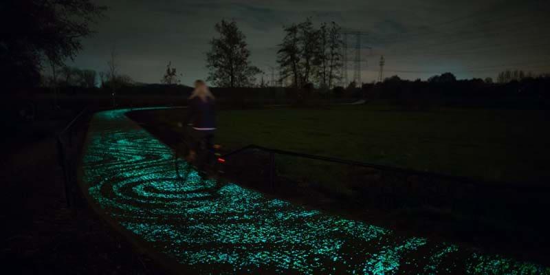 vangoghroosegaarde6