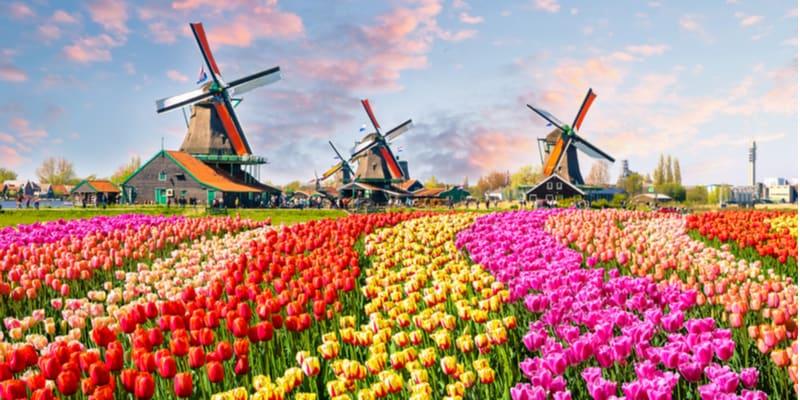 keukenhof-park