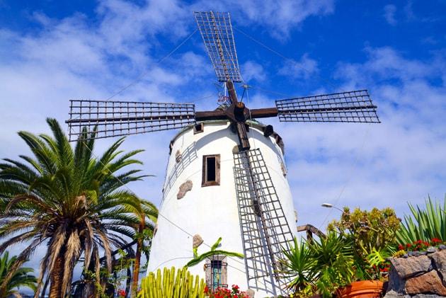 cosa-vedere-tenerife-guida