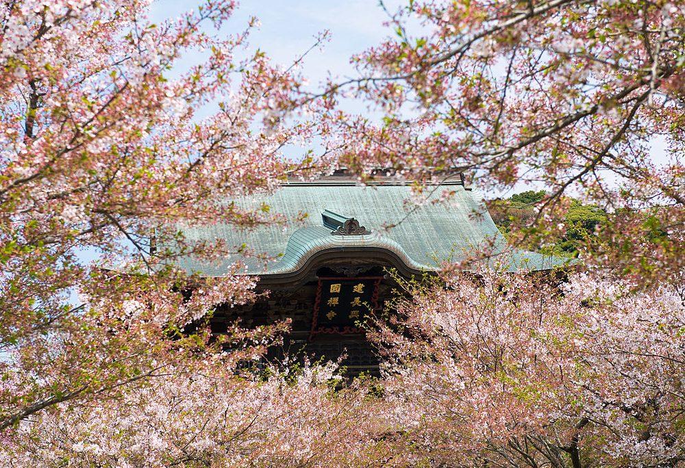 Le monastère d'Engaku-ji