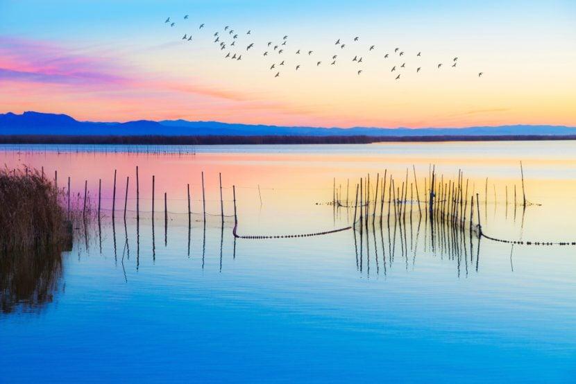 Albufera
